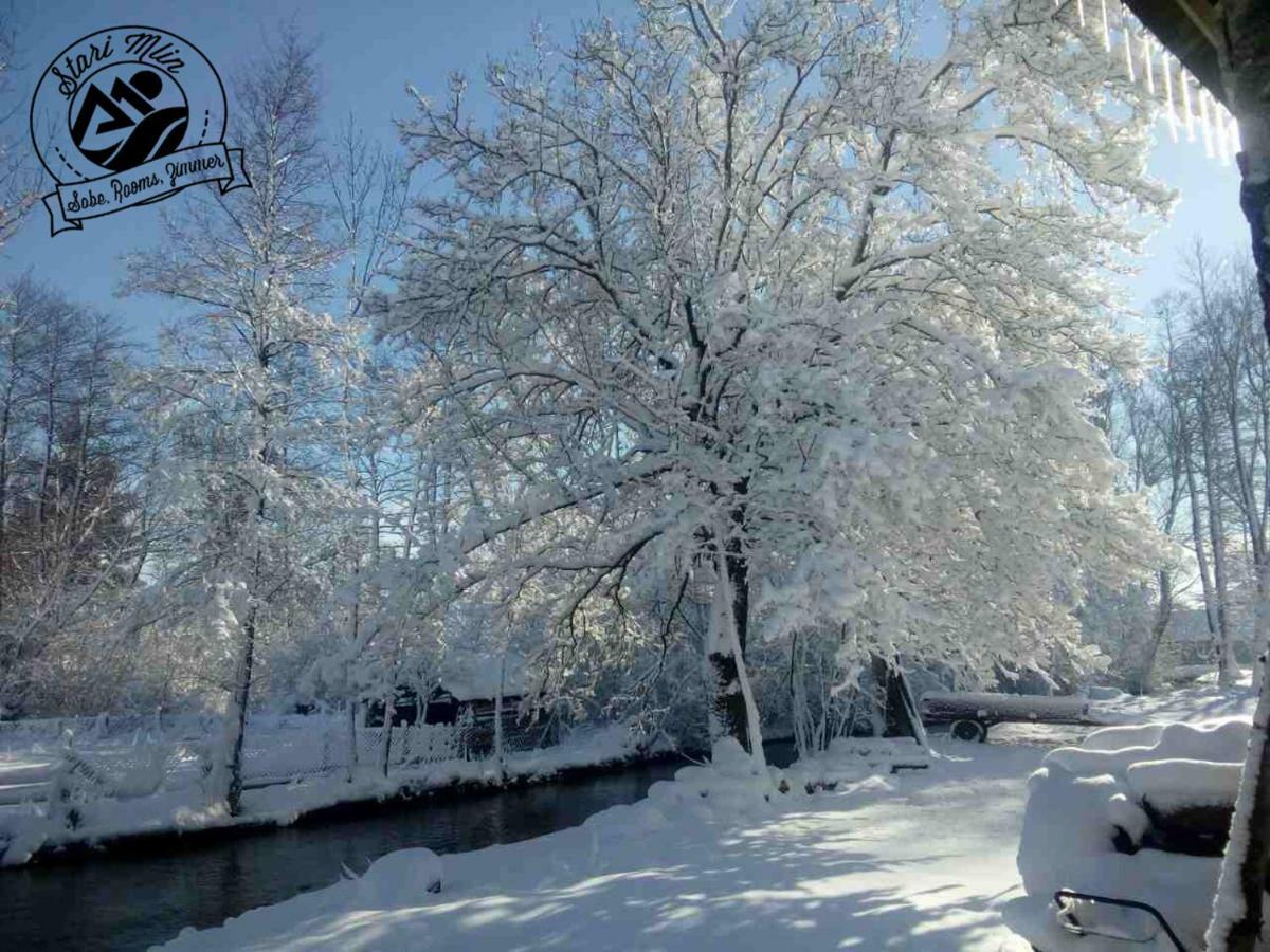 فندق Stari Mlin كورينيتسا المظهر الخارجي الصورة
