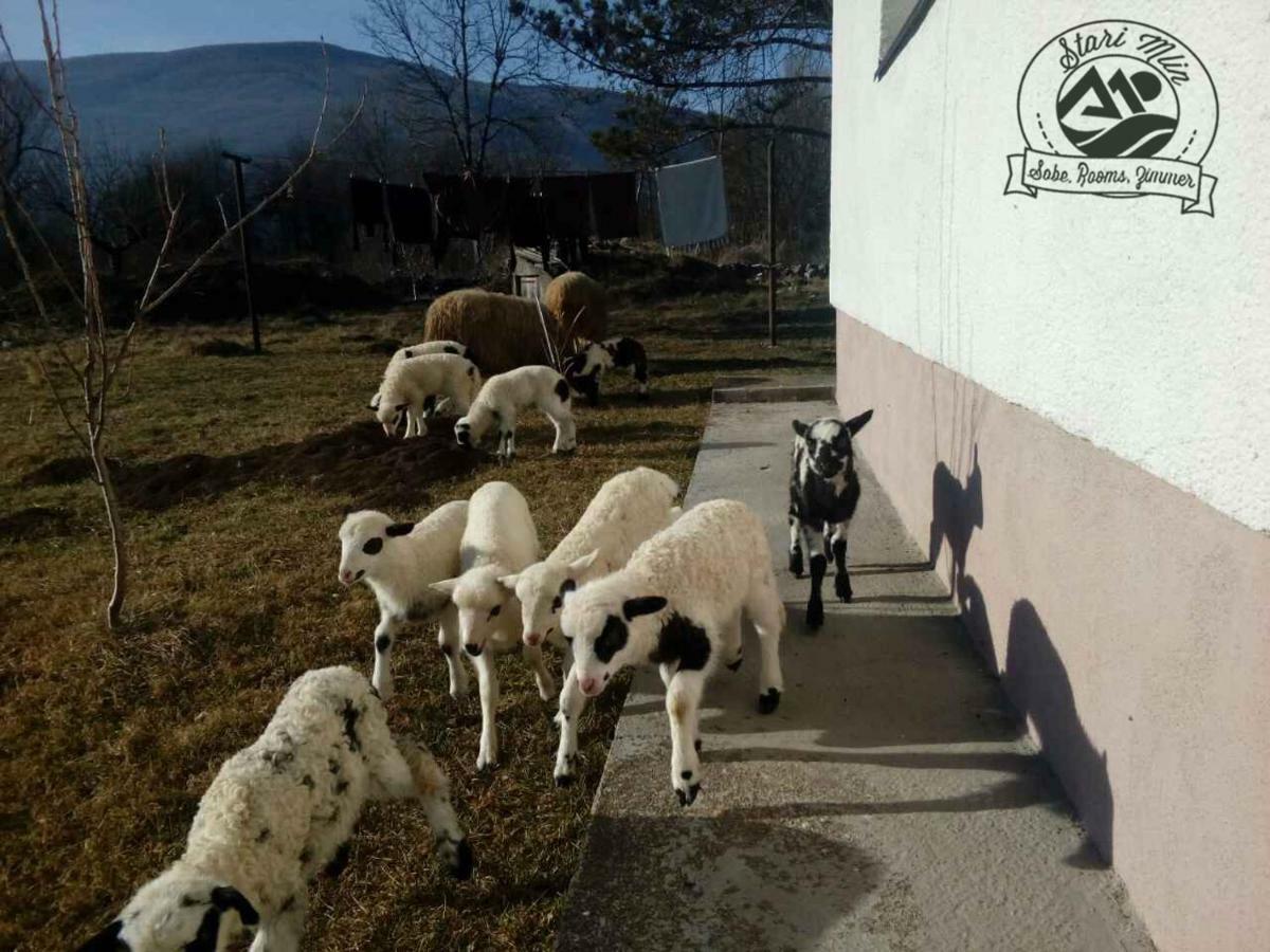 فندق Stari Mlin كورينيتسا المظهر الخارجي الصورة