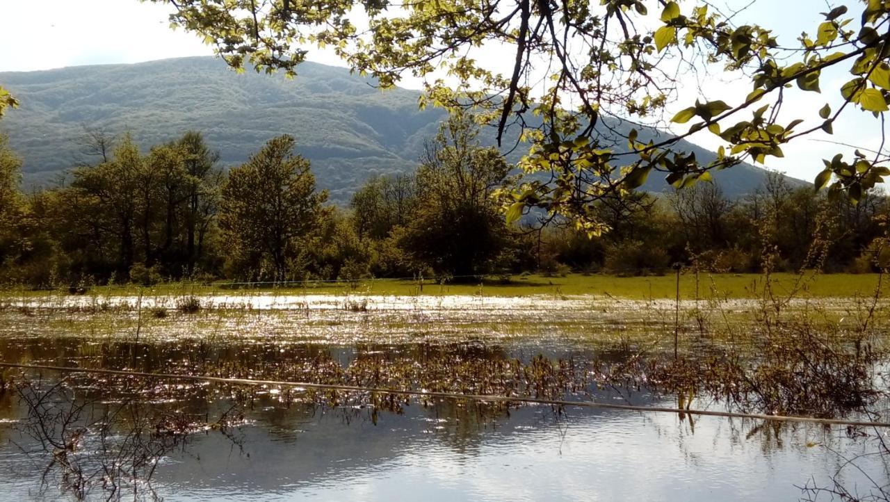فندق Stari Mlin كورينيتسا المظهر الخارجي الصورة